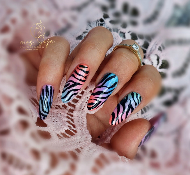 Zebra