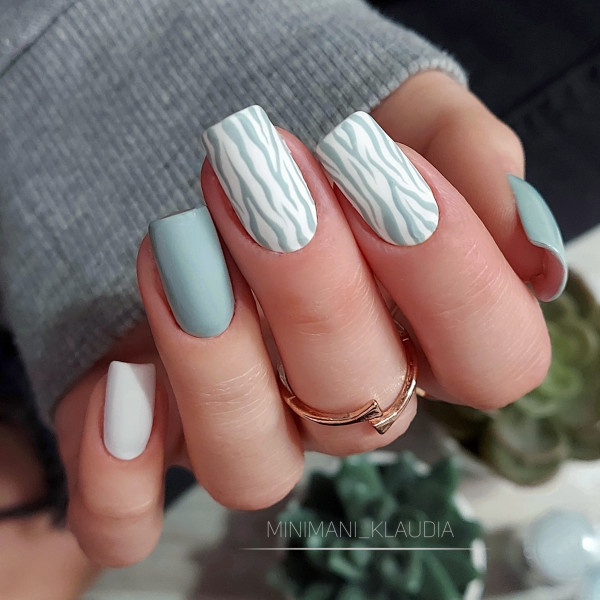 Zebra 馃馃